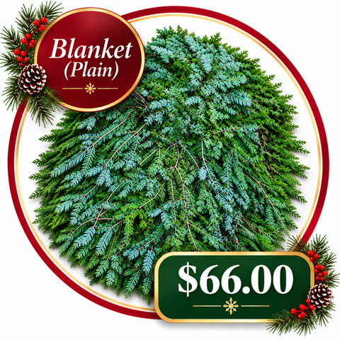 Plain Grave Blanket